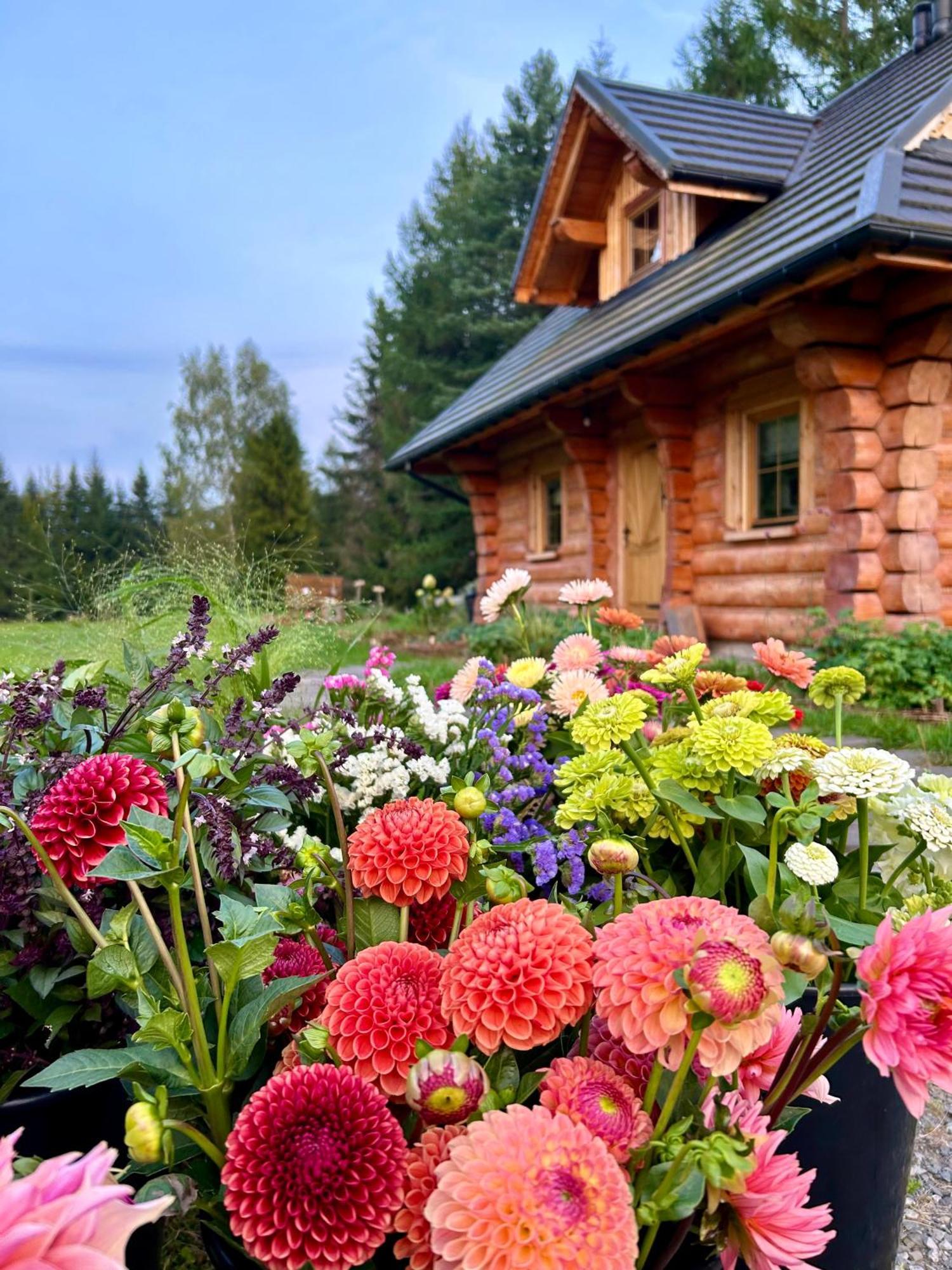 Dom Z Drzew Holiday home