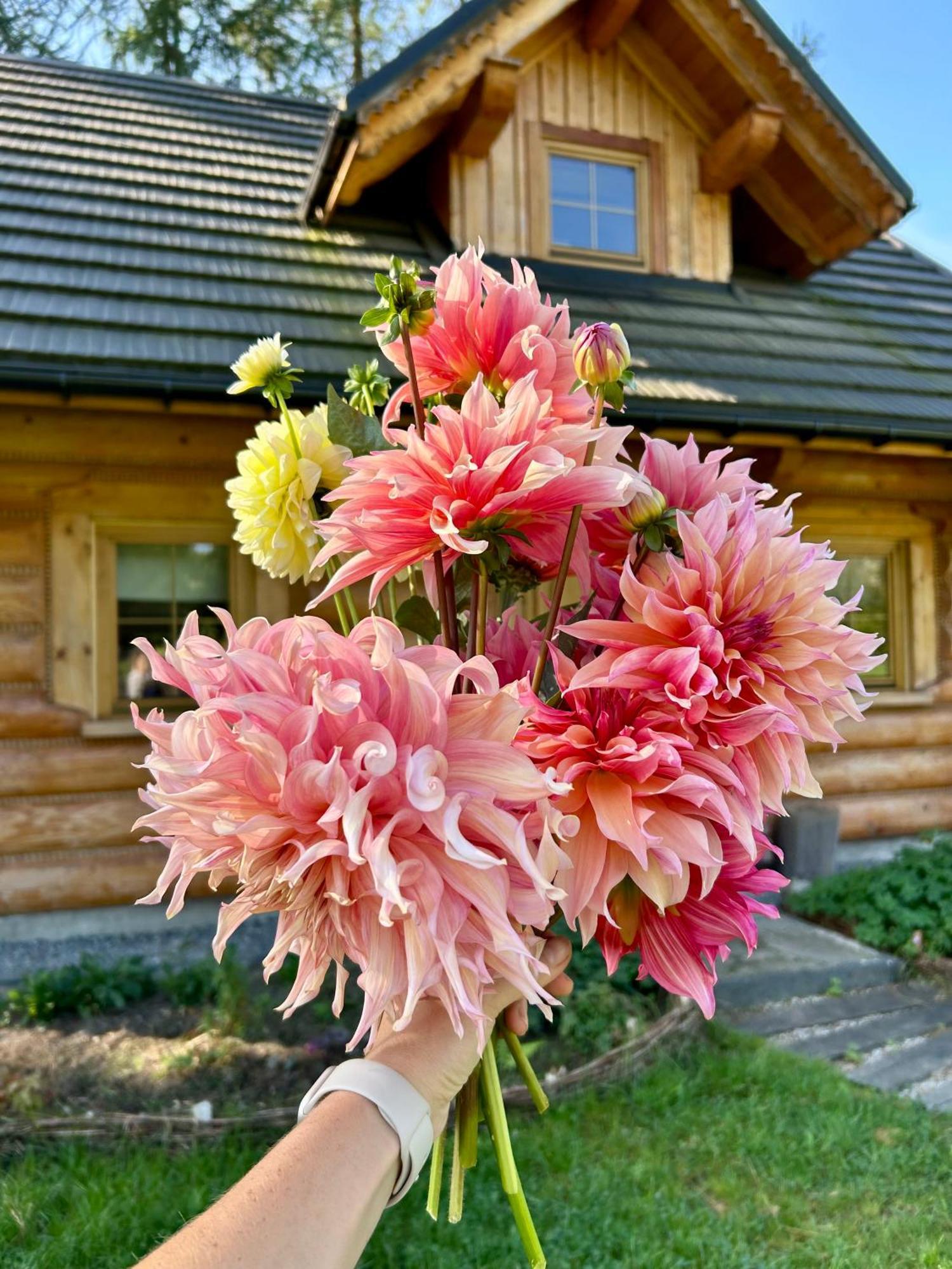 Dom Z Drzew Holiday home *
